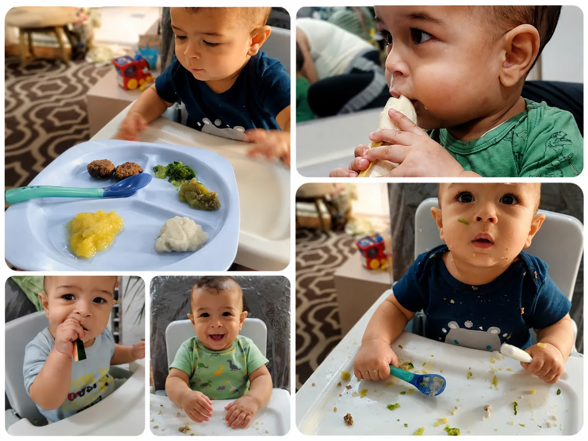 Um bebê em várias situações divertidas da introdução alimentar.